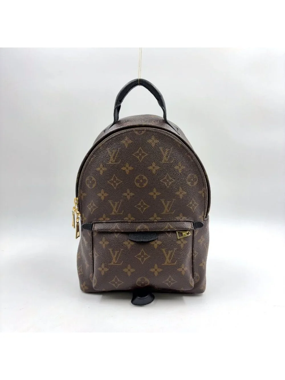 Louis Vuitton Palm Springs PM Monogram Leather